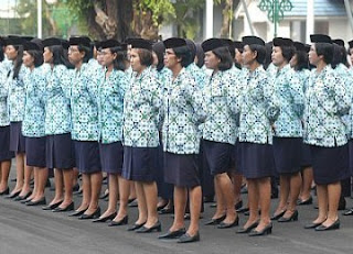 ウサハルマハンはpnsのためのものです